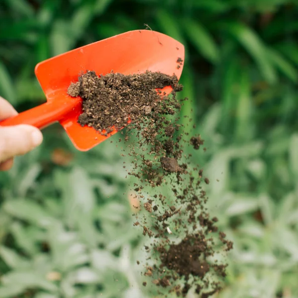 Une personne tient une pelle chargée de terre, représentant le travail d'une compagnie de traitement de pelouse.